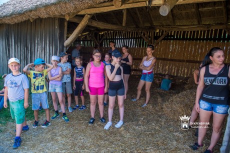 Idén is lesznek nyári napközis táborai a SZÉNA Egyesületnek